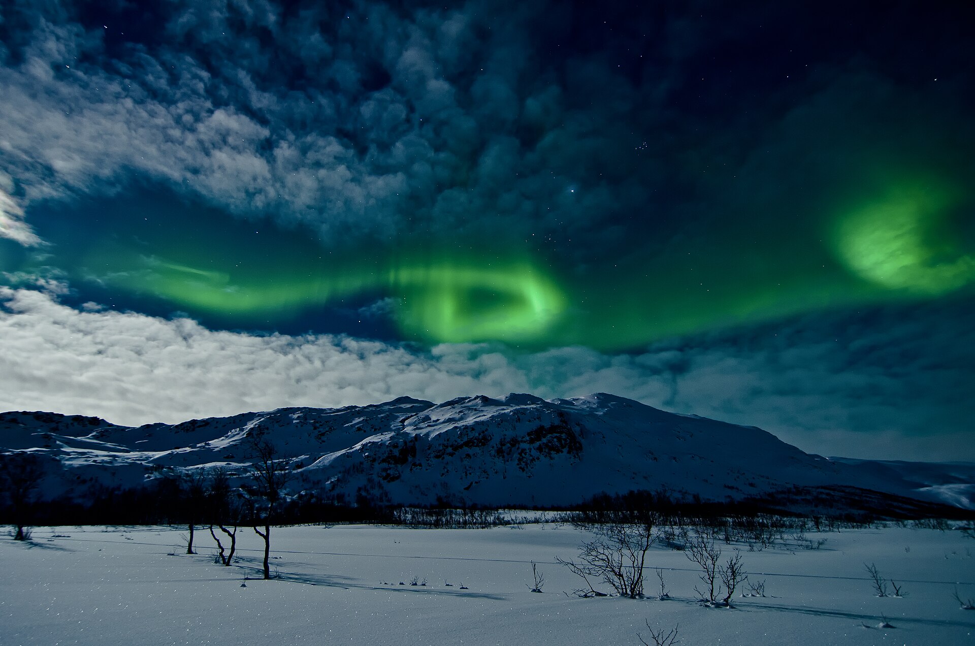 Aurore boréale au-dessus de Tromsø, en Norvège