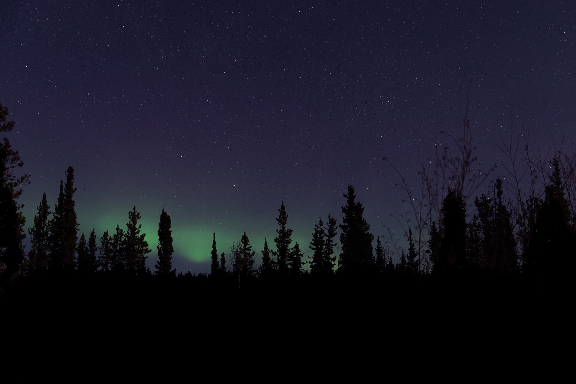 Aurore boréale près de Whitehorse, au Yukon