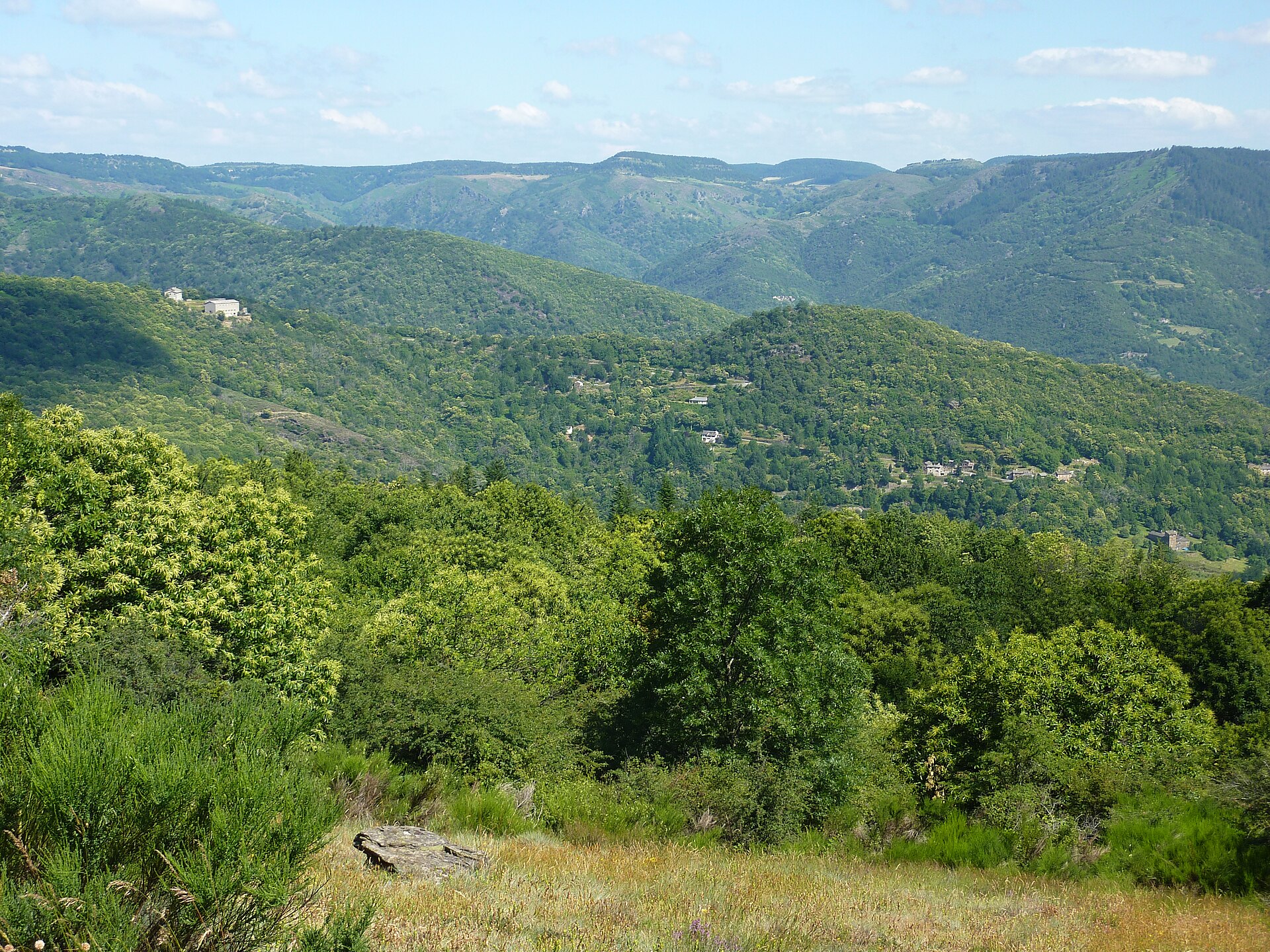 Panorama sur les crêtes des Cévennes depuis la corniche, entre Saint-Jean-du-Gard et Florac