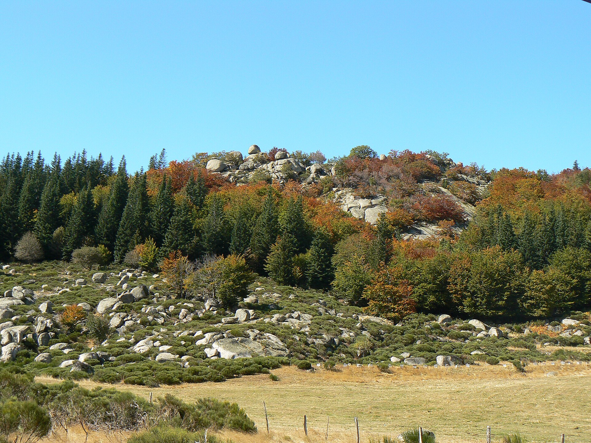 Paysage du mont Lozère dans le parc national des Cévennes