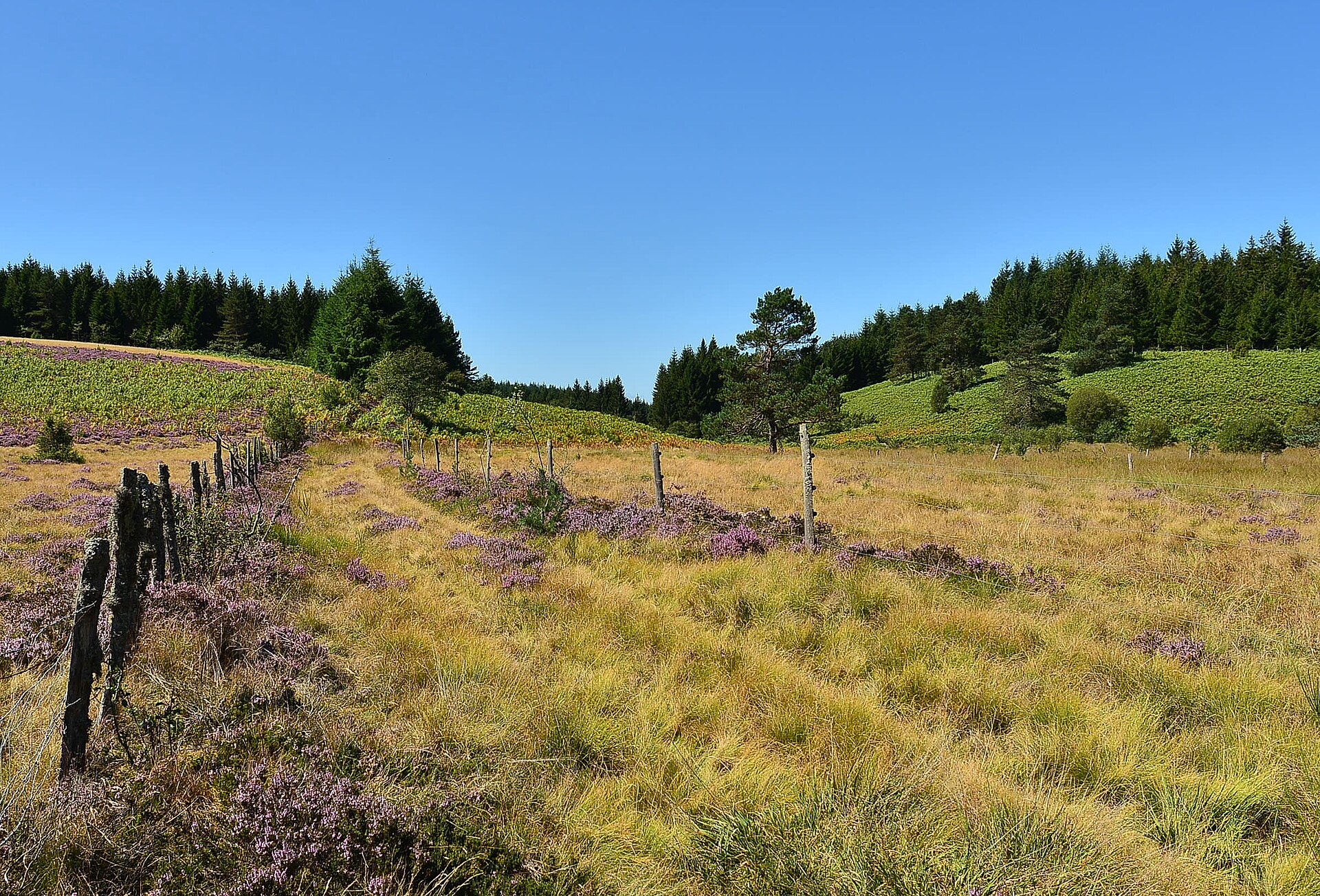 Chemin sur le plateau de Millevaches en Limousin