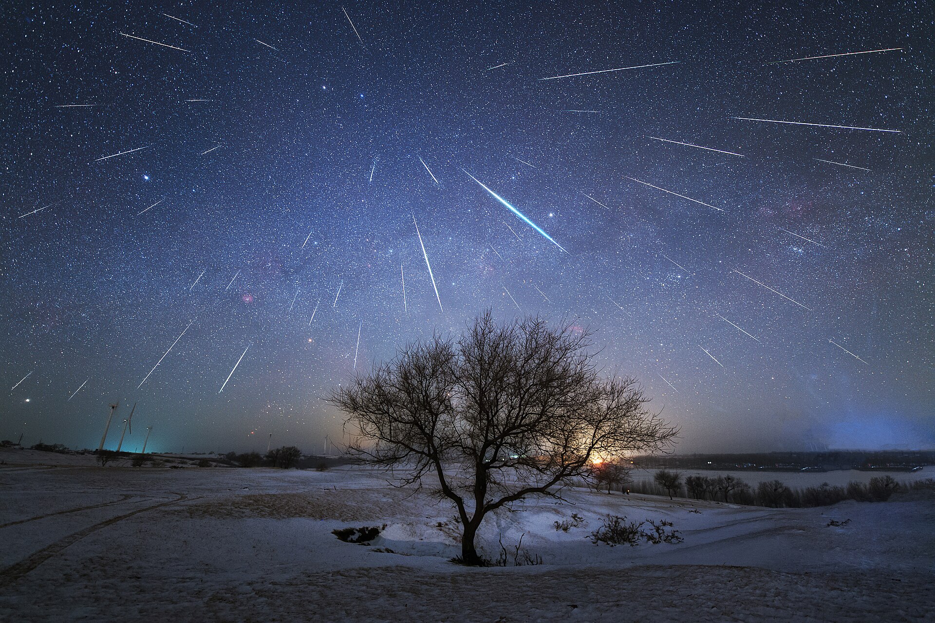 Pluie d'étoiles filantes au-dessus d'un paysage nocturne, photo primée au concours d'astrophotographie de l'UAI