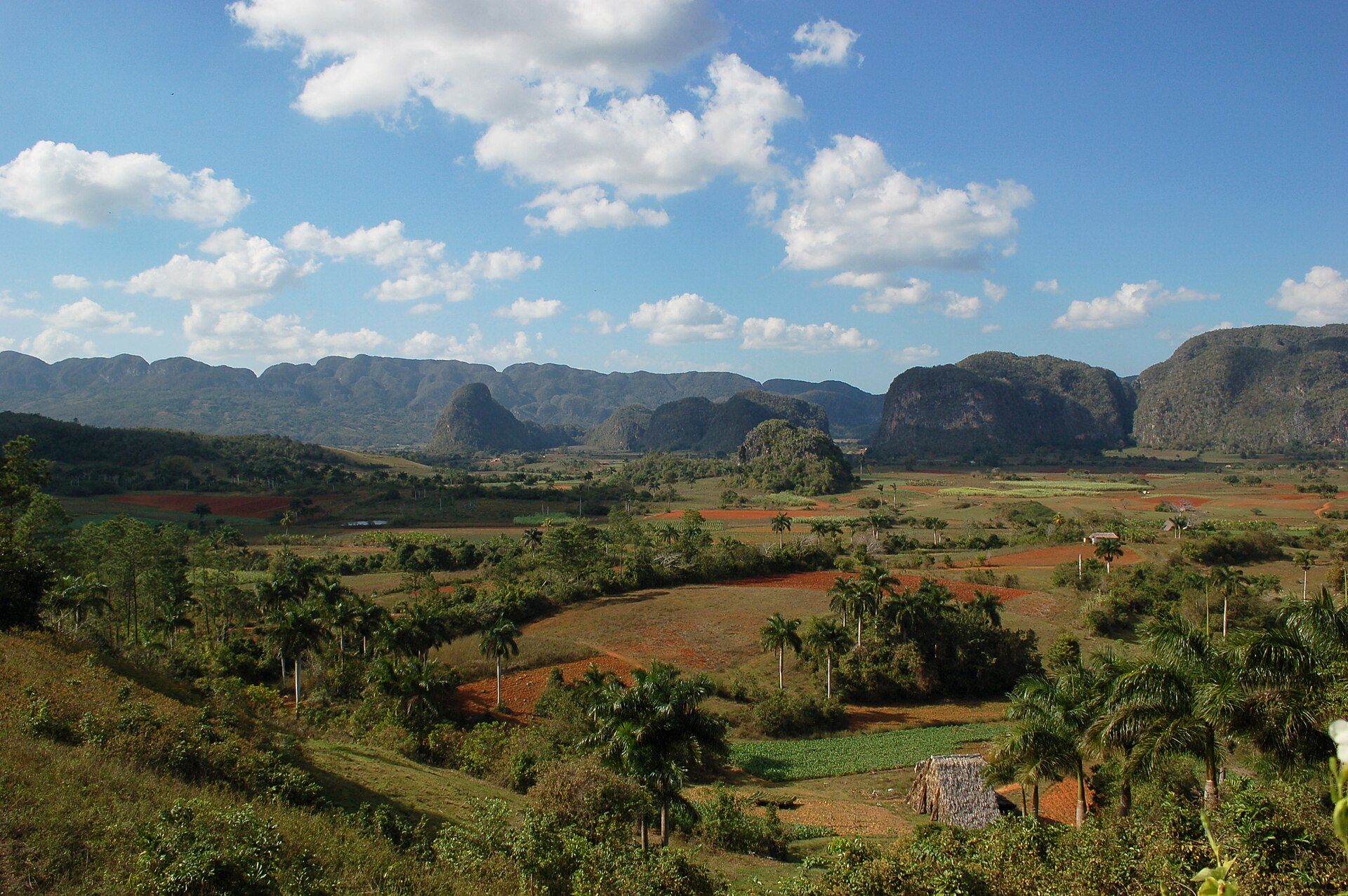 La vallée de Viñales et ses mogotes, à Cuba